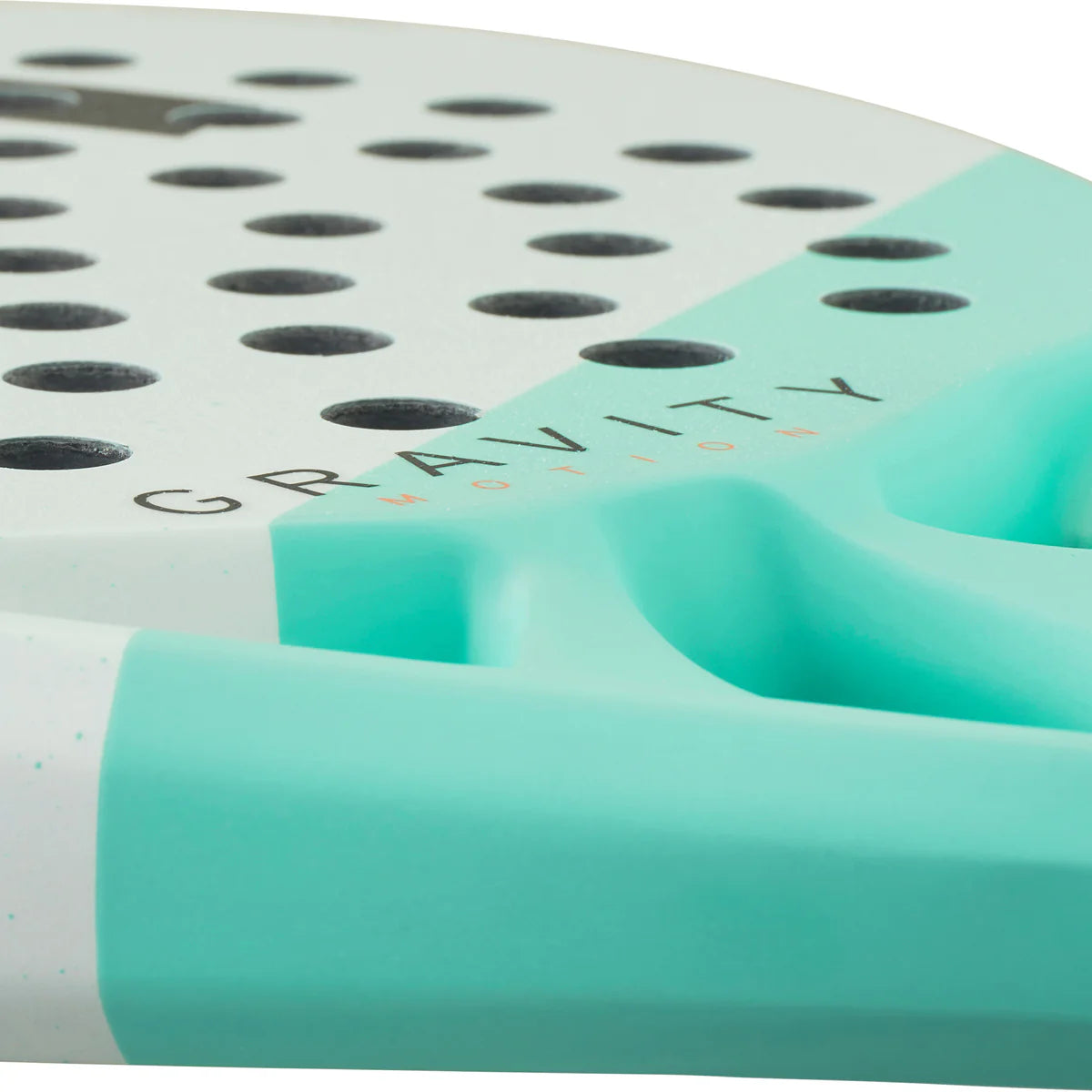 Raquette Head Gravity Motion (2024)