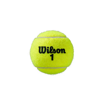 Balles Wilson Roland Garros All Court (4 balles)