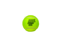 Padel House - Starvie Balles Padel Master Pro 4
